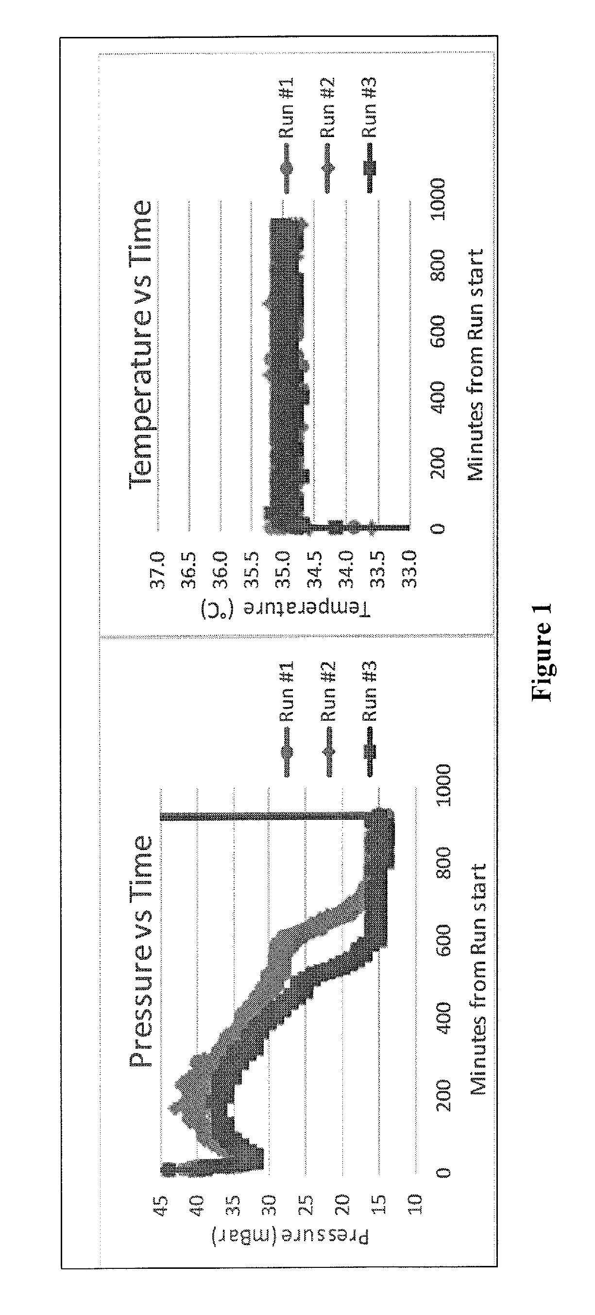 Amnion tissue grafts and methods of preparing and using same
