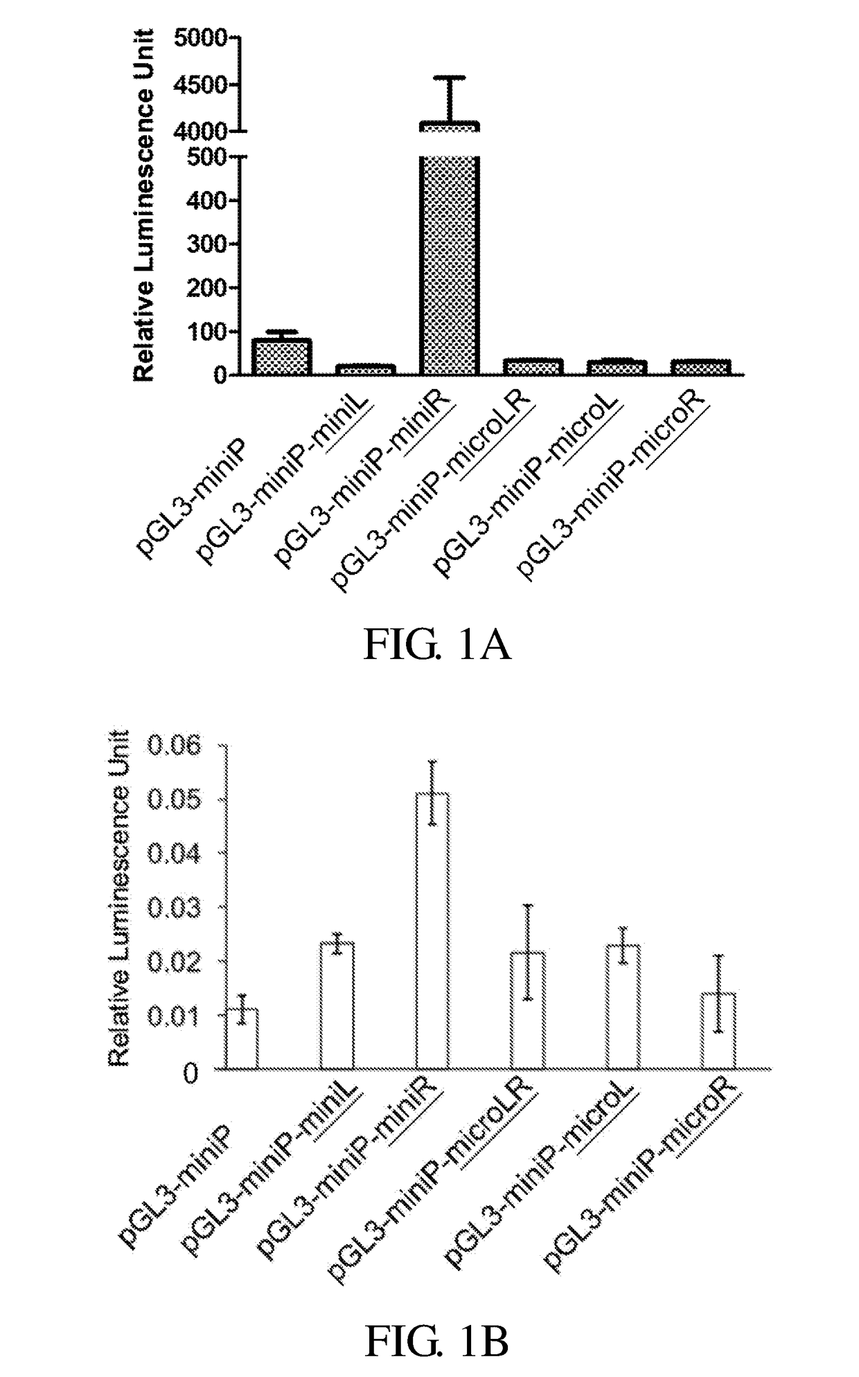 Kit for constructing transposon and use thereof