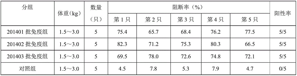 Antibody testing method for potency of CFS (classical swine fever) genetic engineering subunit vaccine