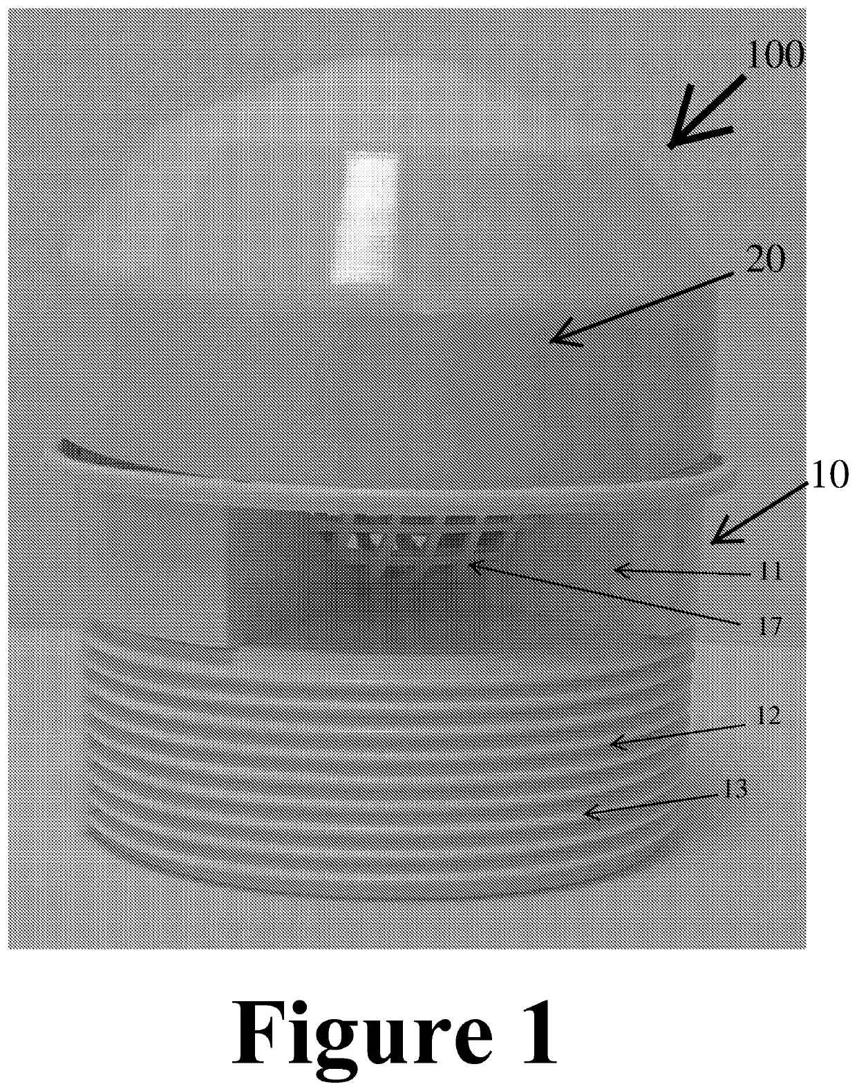 Air admittance valve