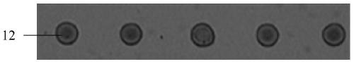 A manufacturing method of microsphere resonator cavity based on electrohydrodynamic jet printing