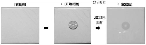 Nanometer self-cleaning film, preparation method thereof and lamp