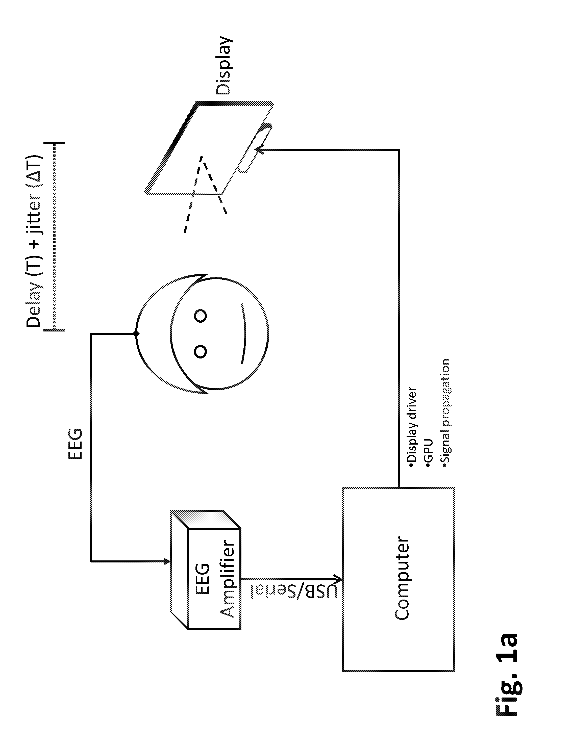 Physiological parameter measurement and feedback system