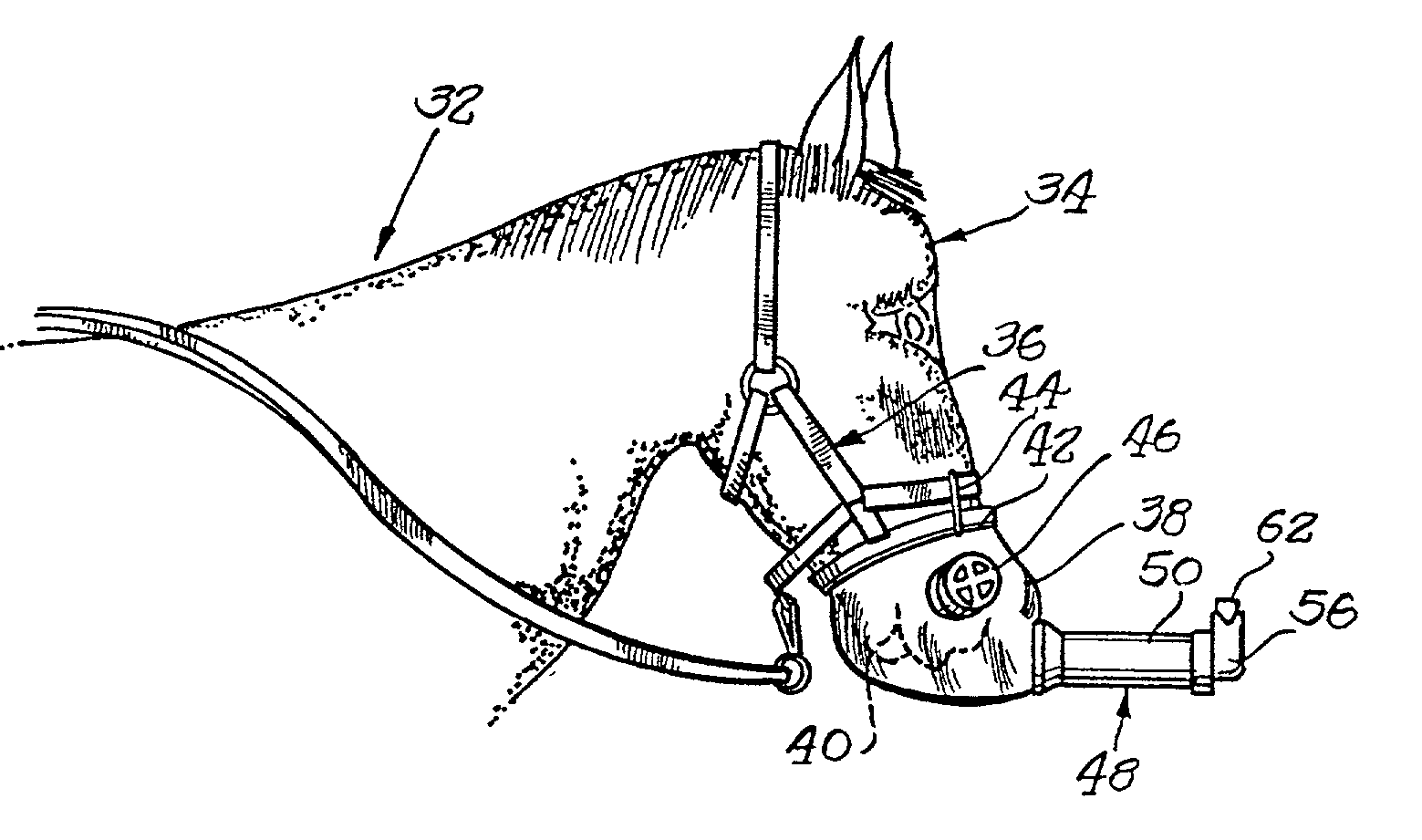 Equine mask