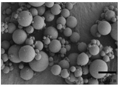 Polyvinyl alcohol-pectin embolism microsphere, drug-loaded embolism microsphere and preparation method