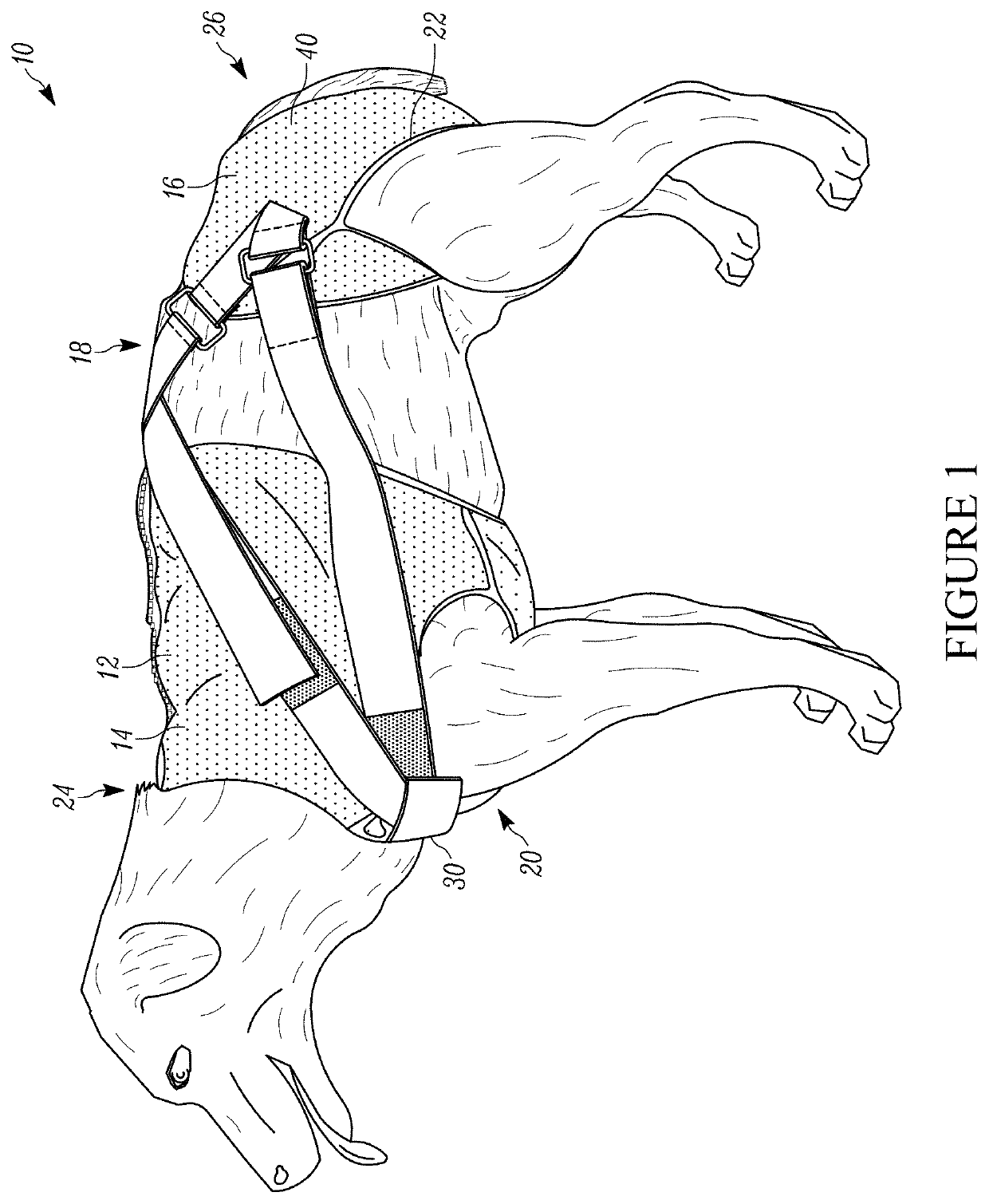 Restraint assembly for an animal