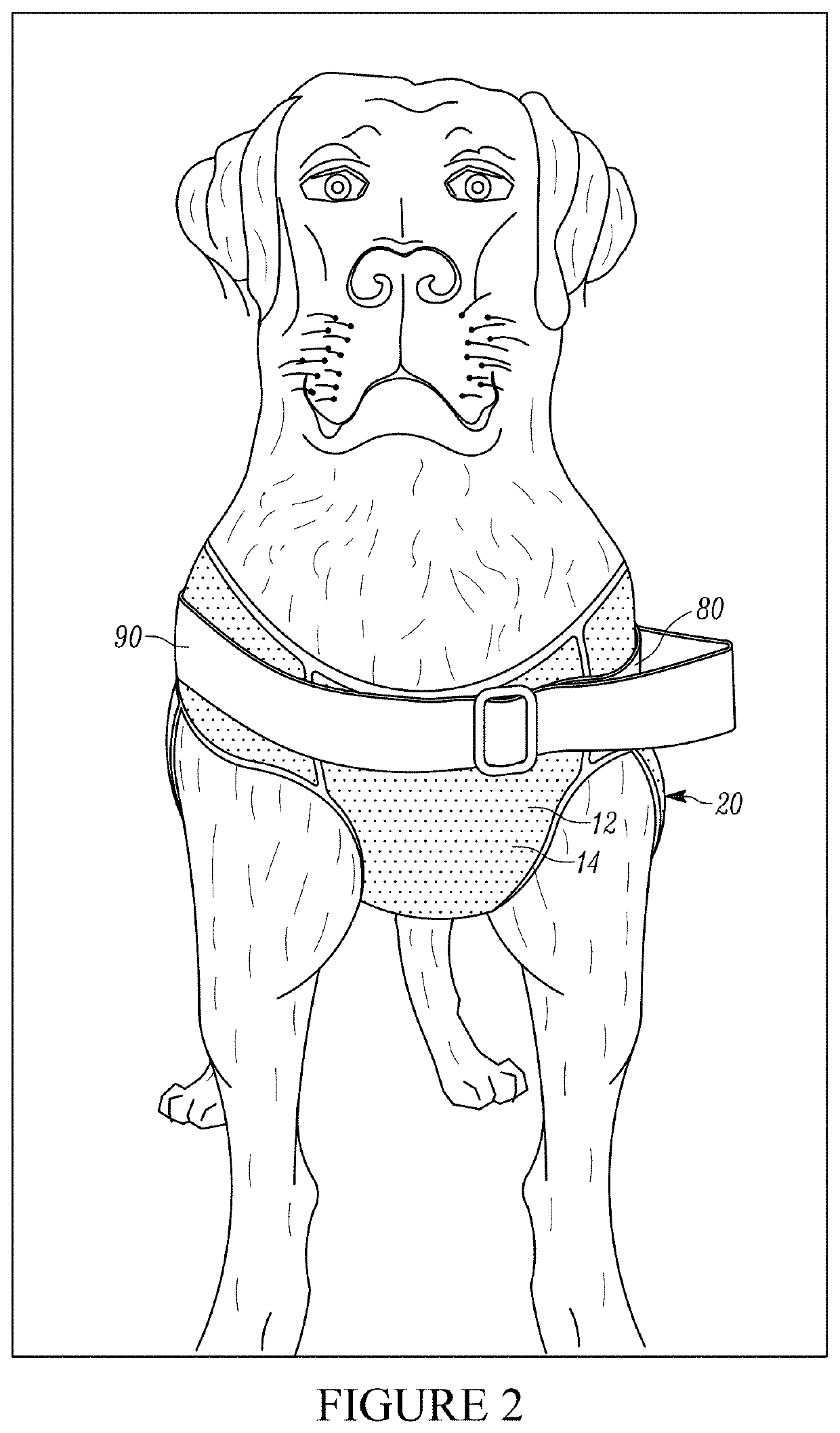 Restraint assembly for an animal