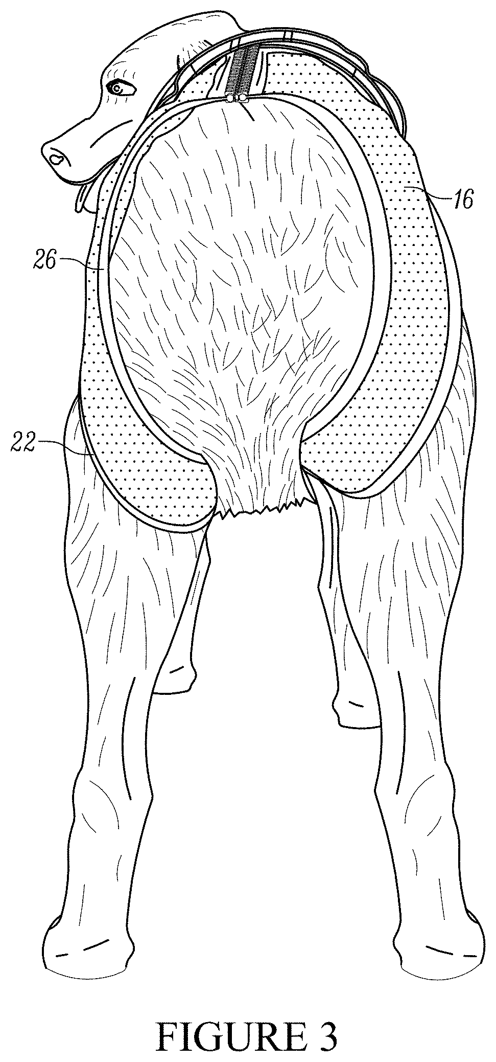 Restraint assembly for an animal