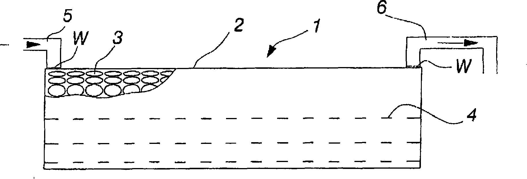 Bioreactor and method for the biological purification of water