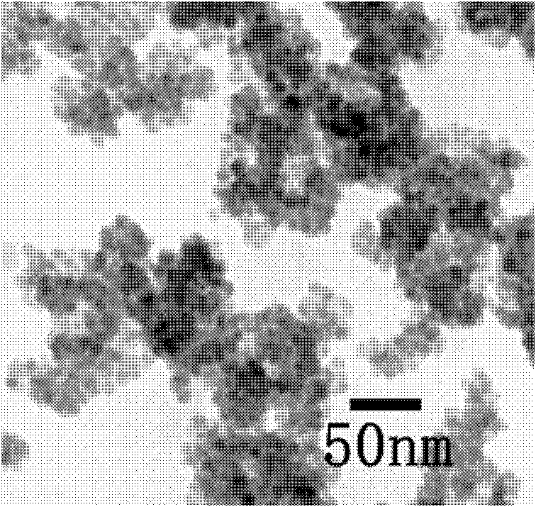 Surface modification method of magnetic iron oxide nano-particles