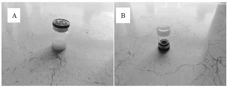 Thermosensitive Filler Composition