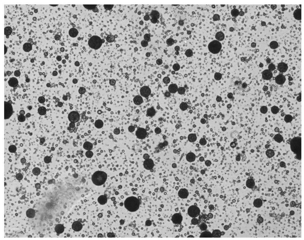 Thermosensitive Filler Composition