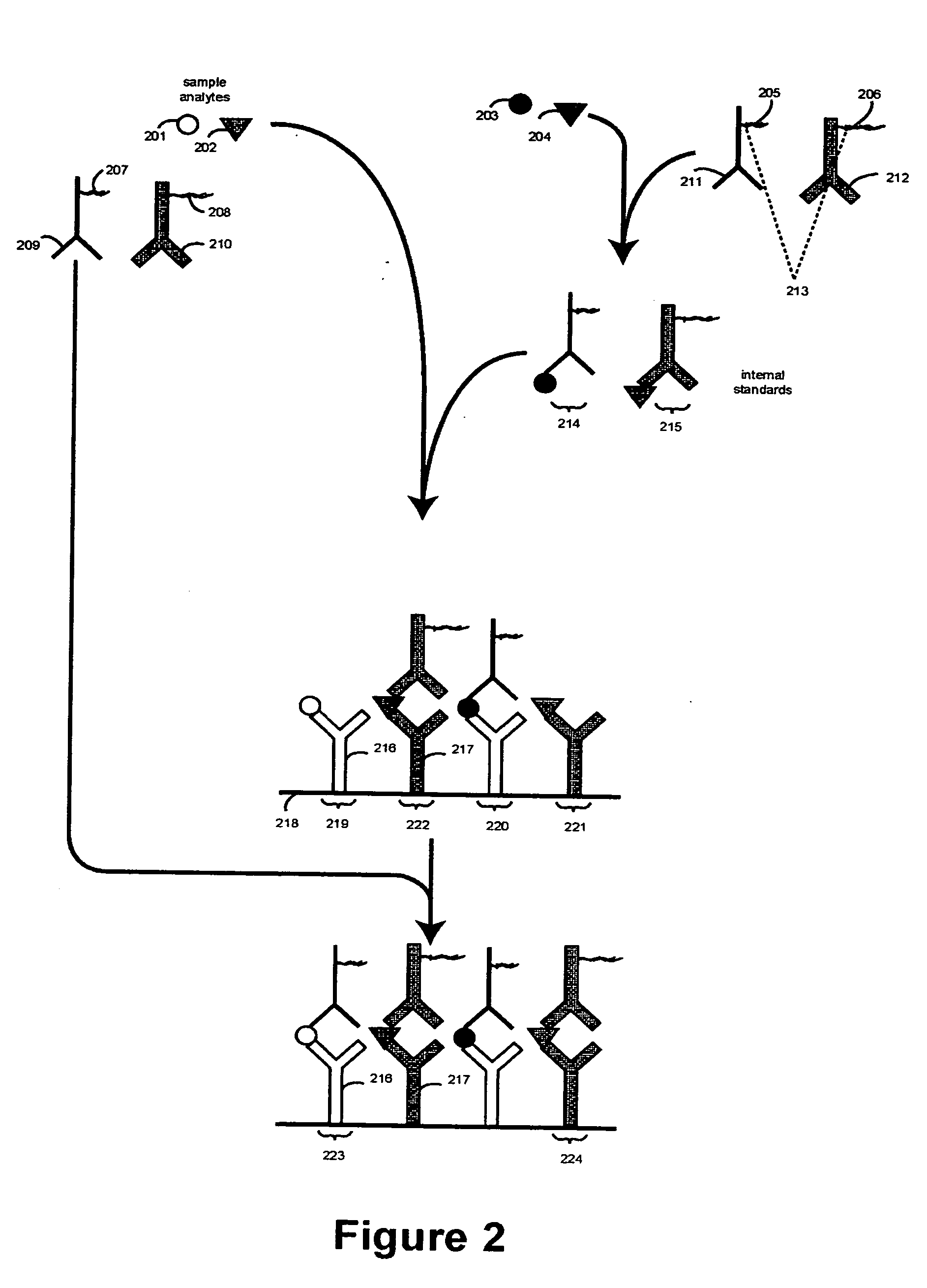 Methods and compositions for assaying analytes