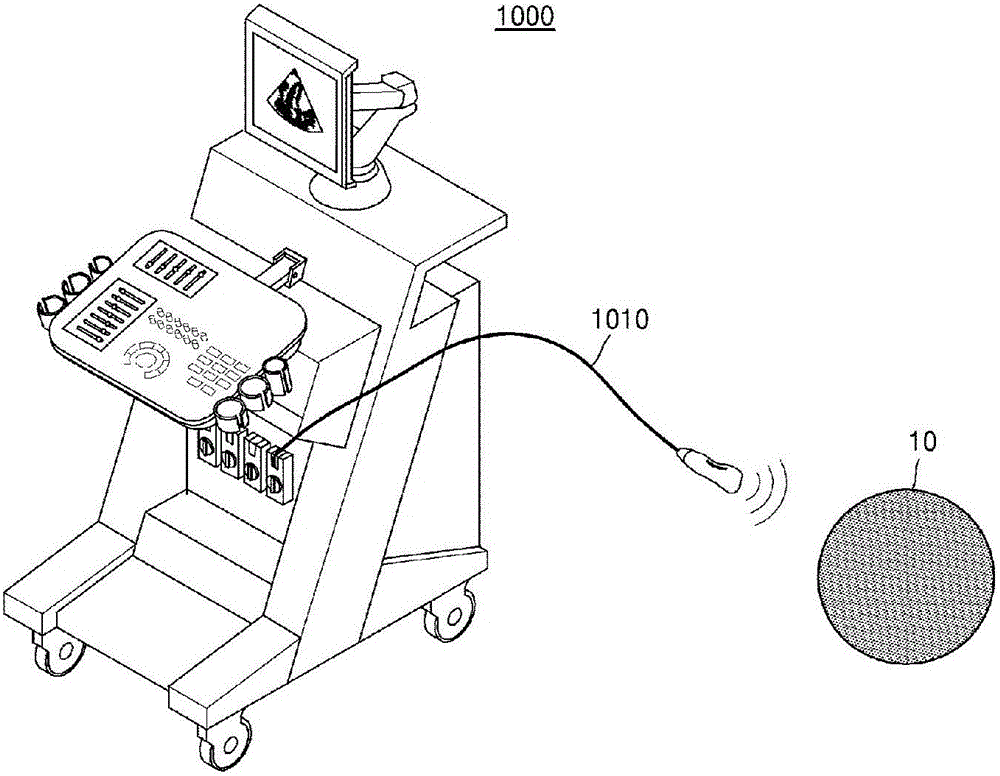 Method and ultrasound apparatus for marking tumor on ultrasound elastography image