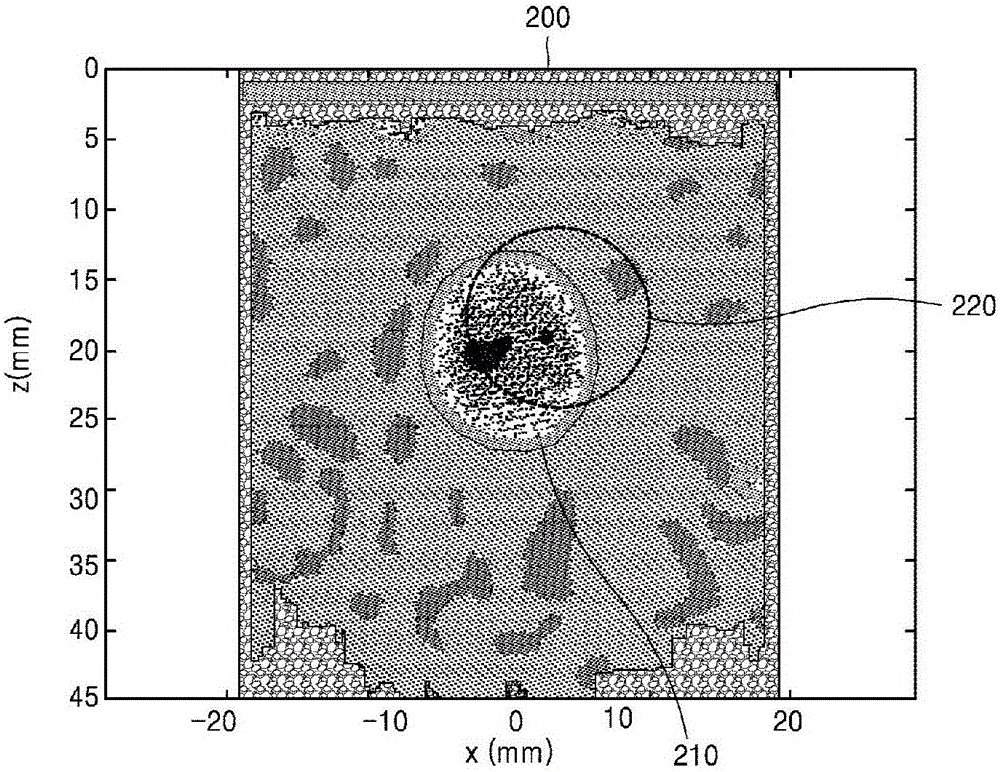 Method and ultrasound apparatus for marking tumor on ultrasound elastography image