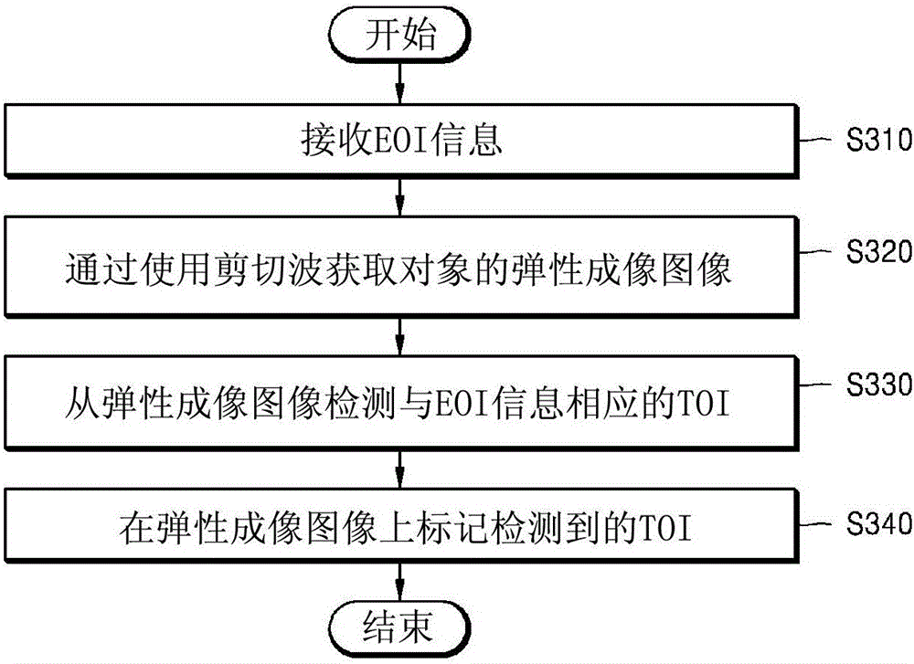 Method and ultrasound apparatus for marking tumor on ultrasound elastography image