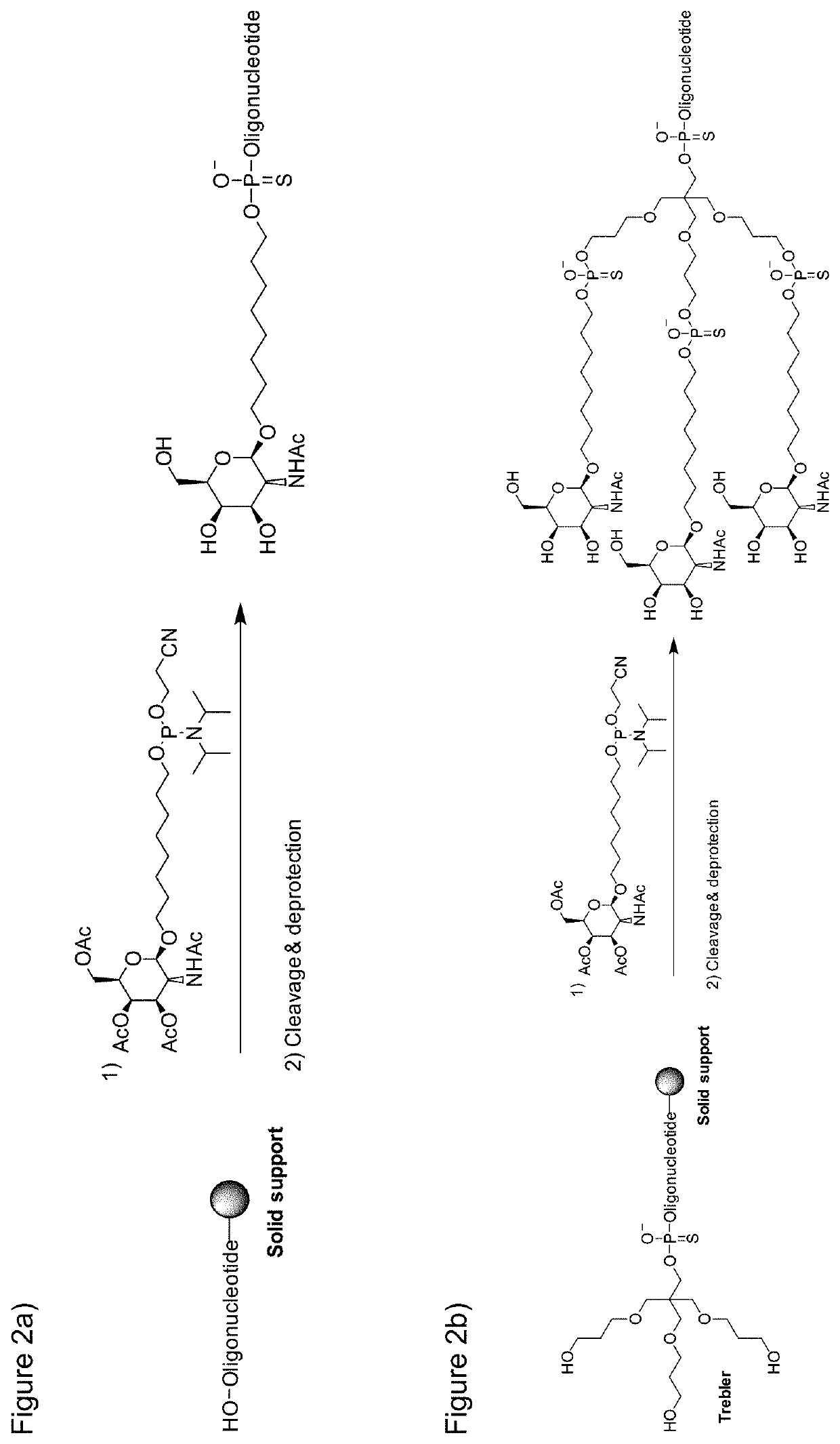 Galnac phosphoramidites, nucleic acid conjugates thereof and their use
