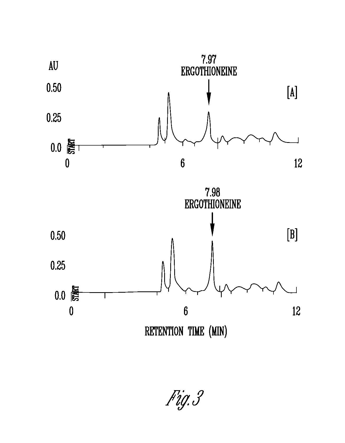 Phytonutrient compositions from mushrooms or filamentous fungi and methods of use