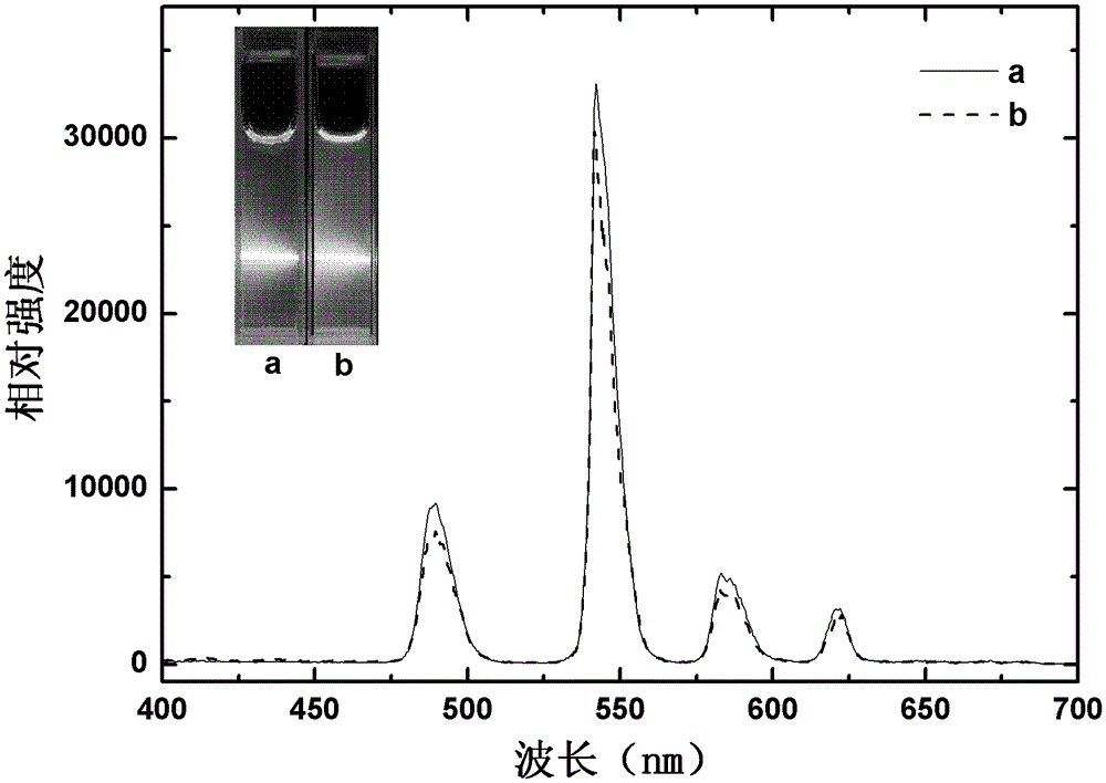 Preparation method of biotin-modified rare earth-doped inorganic fluorescent nanoparticles