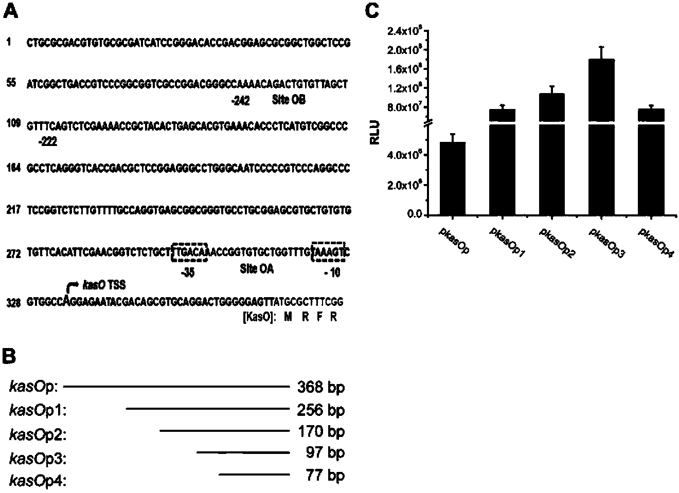 Streptomycete constitutive promoter and applications thereof