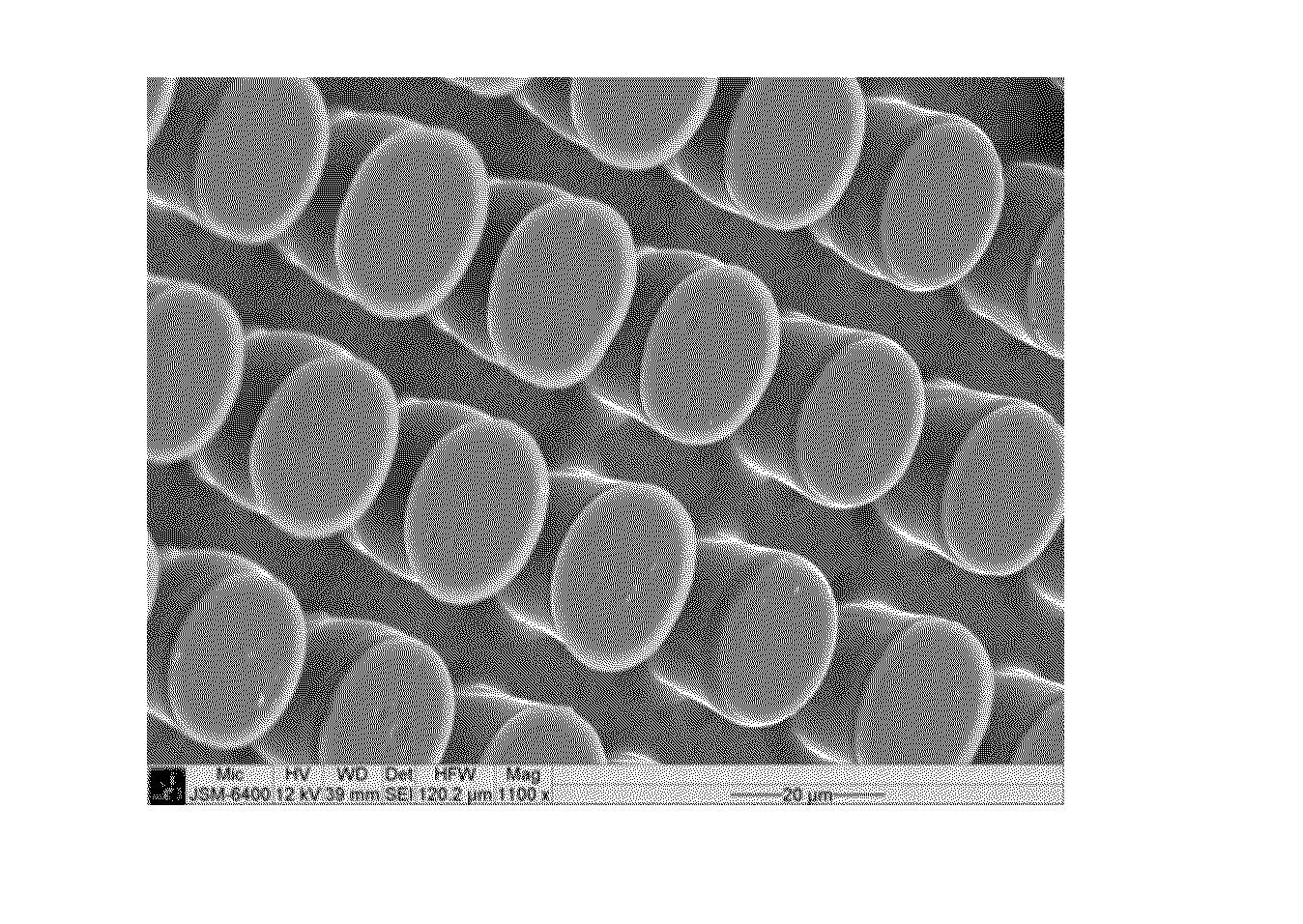 Durable Hydrophilic Dry Adhesives with Hierarchical Structure and Method of Making