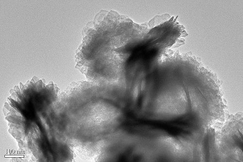 Hierarchical nanostructure bi  <sub>2</sub> o  <sub>3</sub> /(bio)  <sub>2</sub> co  <sub>3</sub> preparation of