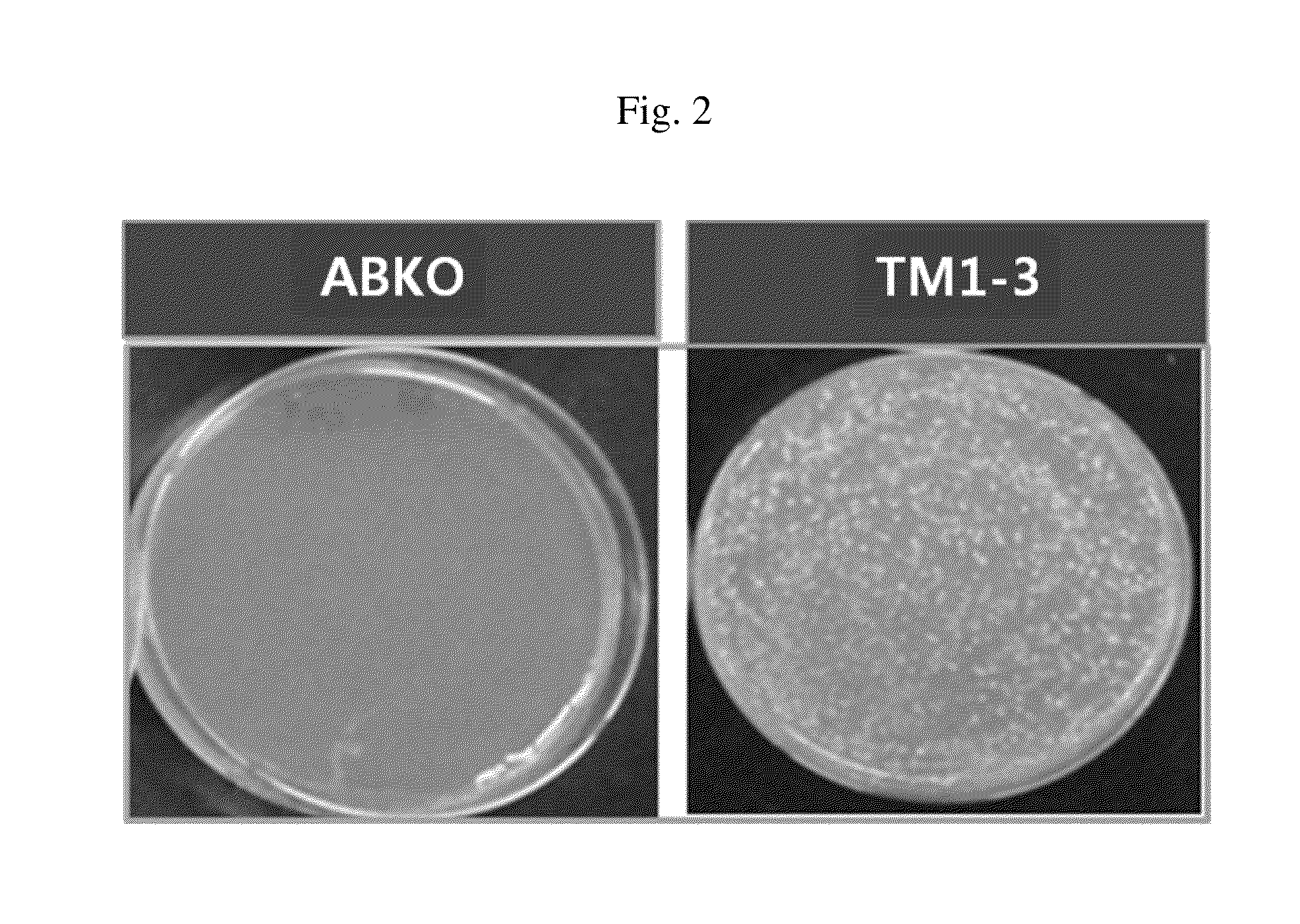 Microorganism capable of simultaneous co-fermentation of mixed sugars and production method of butanol using the same