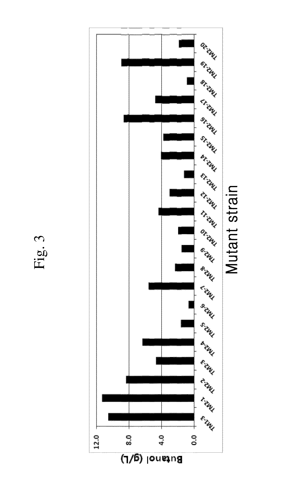 Microorganism capable of simultaneous co-fermentation of mixed sugars and production method of butanol using the same