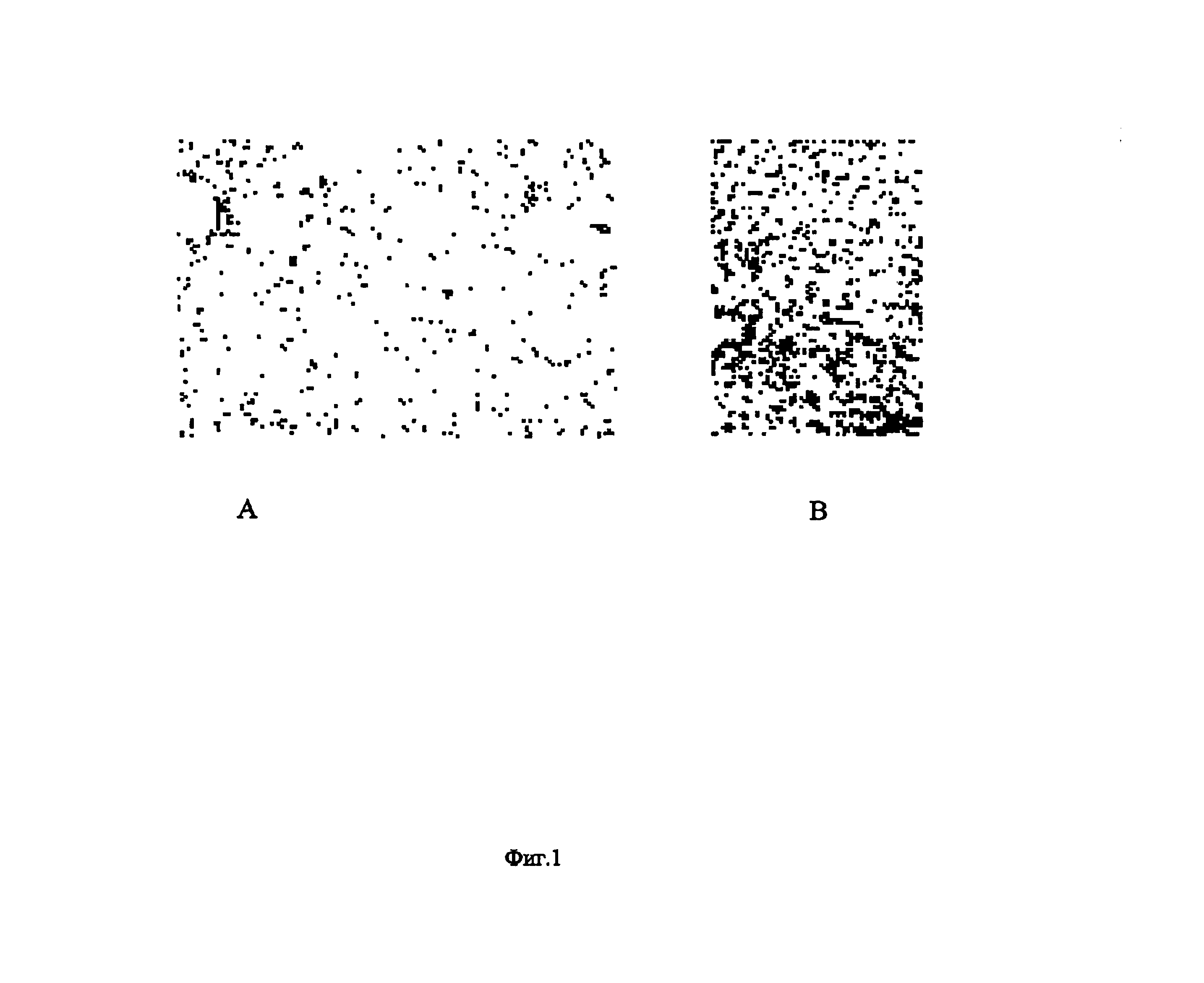 Method for Treating Oncological, Virulent and Somatic Diseases, Method for Controlling Treatment Efficiency, Pharmaceutical Agents and Composition for Carrying Out Said Treatment