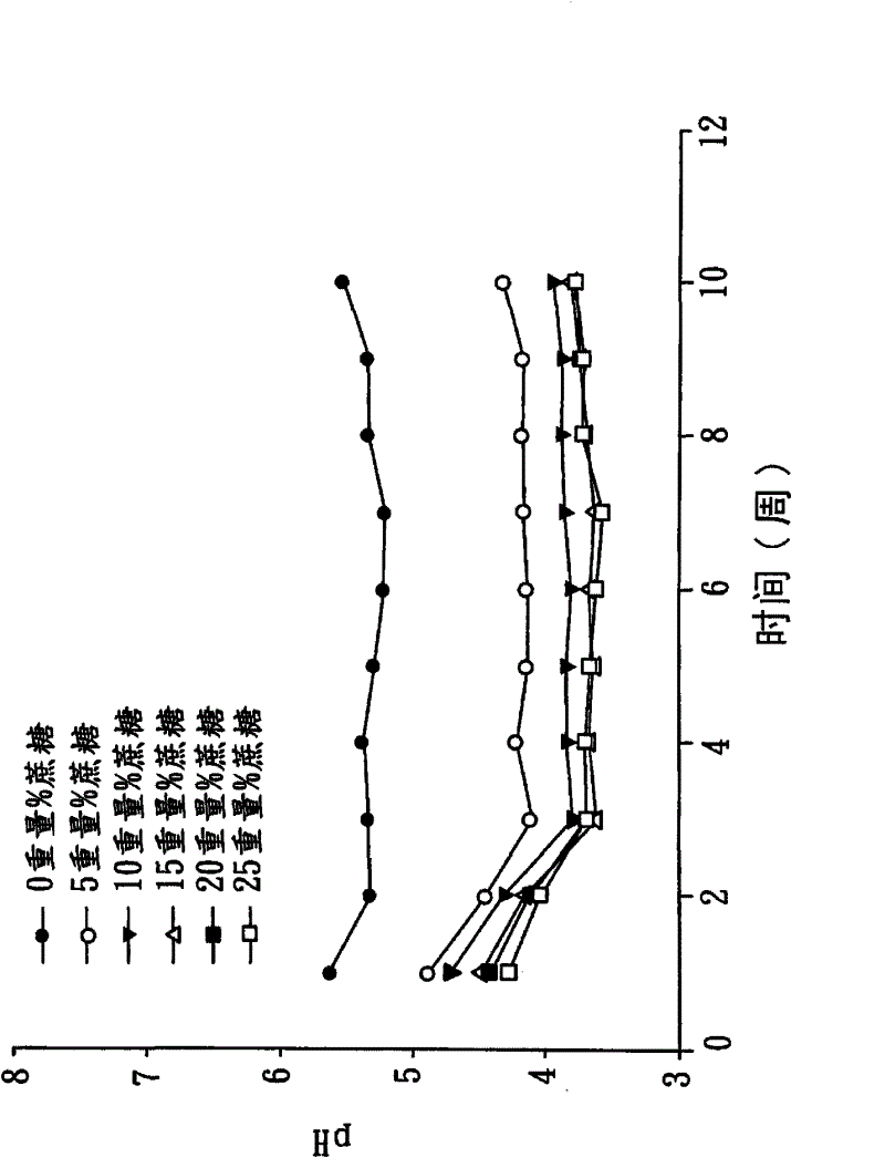 Green tea fermentation broth and production method thereof