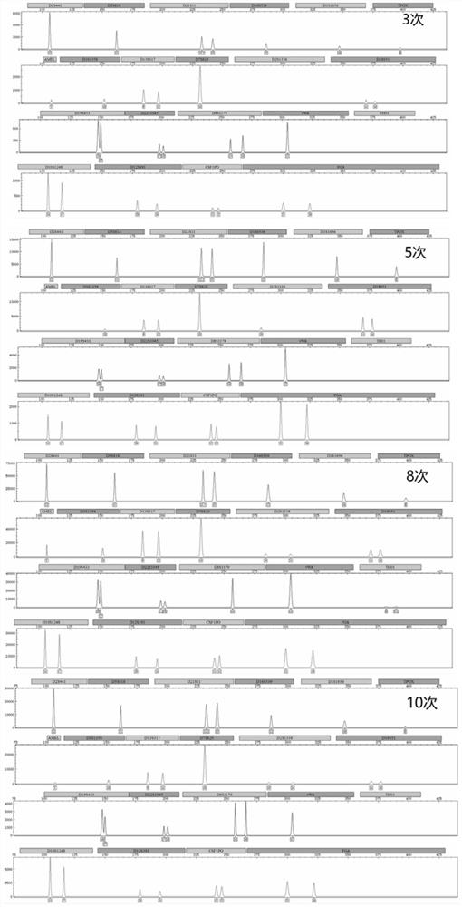 STR rapid individual recognition amplification reagent for fully-integrated micro-fluidic chip and application thereof