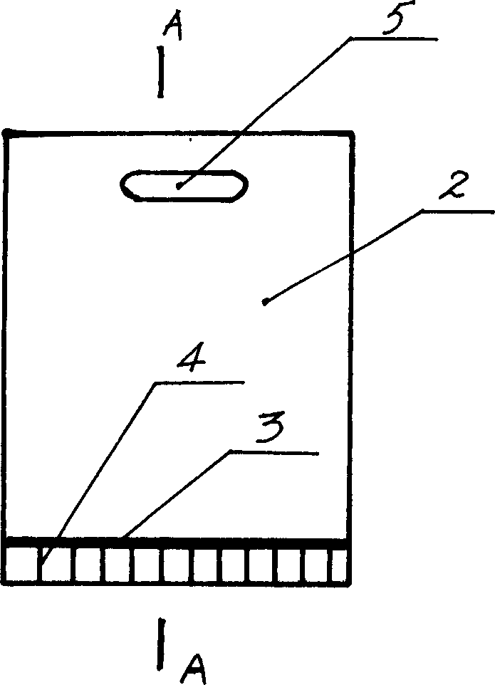 Reinforced plastic hand-bag and its producing method