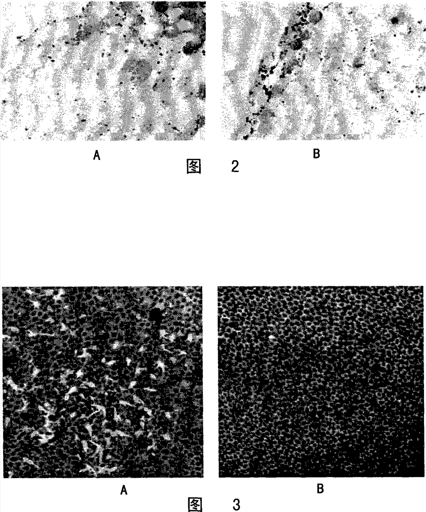 Use of methionine