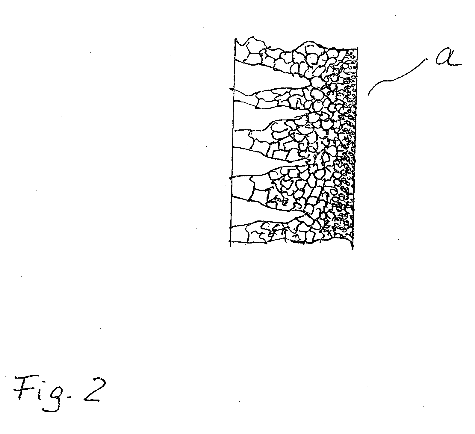 Process and device for separating carbon dioxide from a breathing gas mixture by means of a fixed site carrier membrane