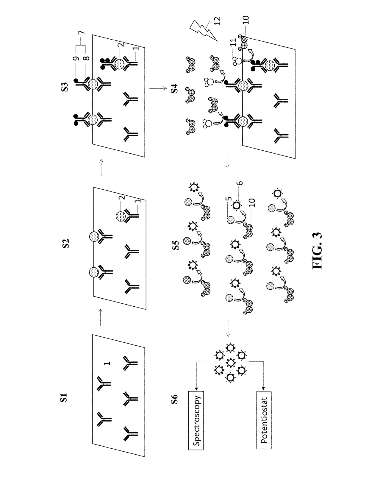 Molecular probe for signal amplification and kit and assay using the same