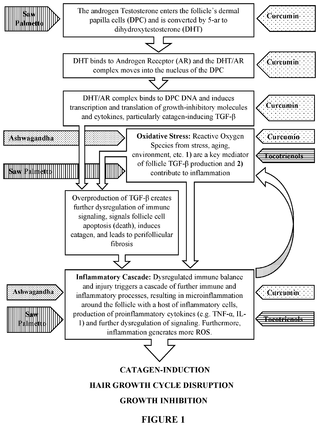 Compositions and Methods for Hair Regrowth