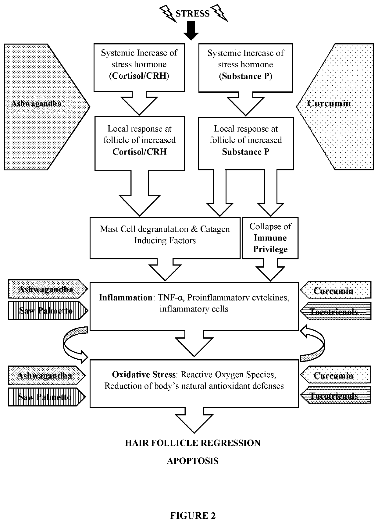 Compositions and Methods for Hair Regrowth