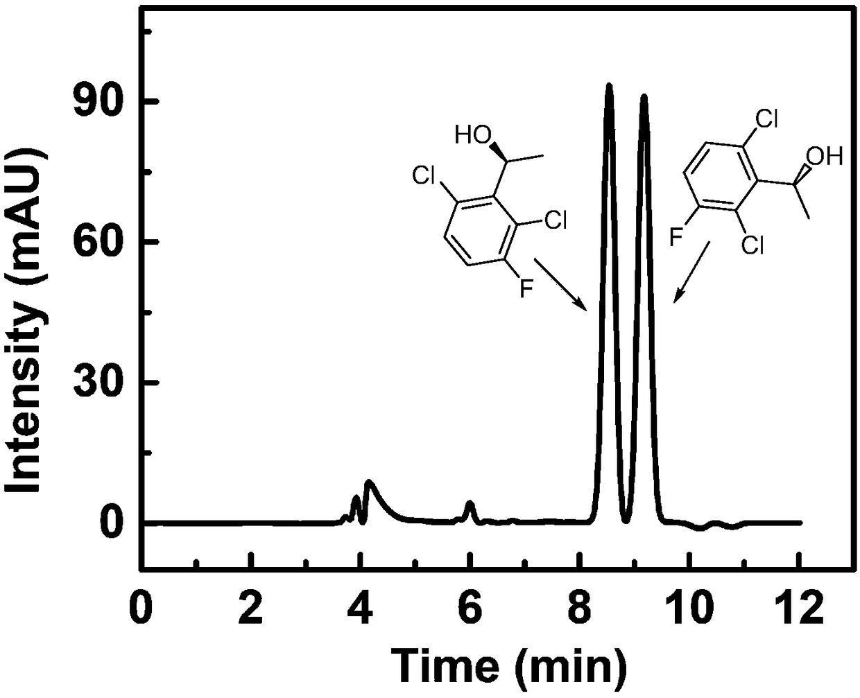 Method for synthesizing (S)-1-1(2,6-dichloro-3-fluorine-phenyl) ethanol through immobilized bienzyme catalysis
