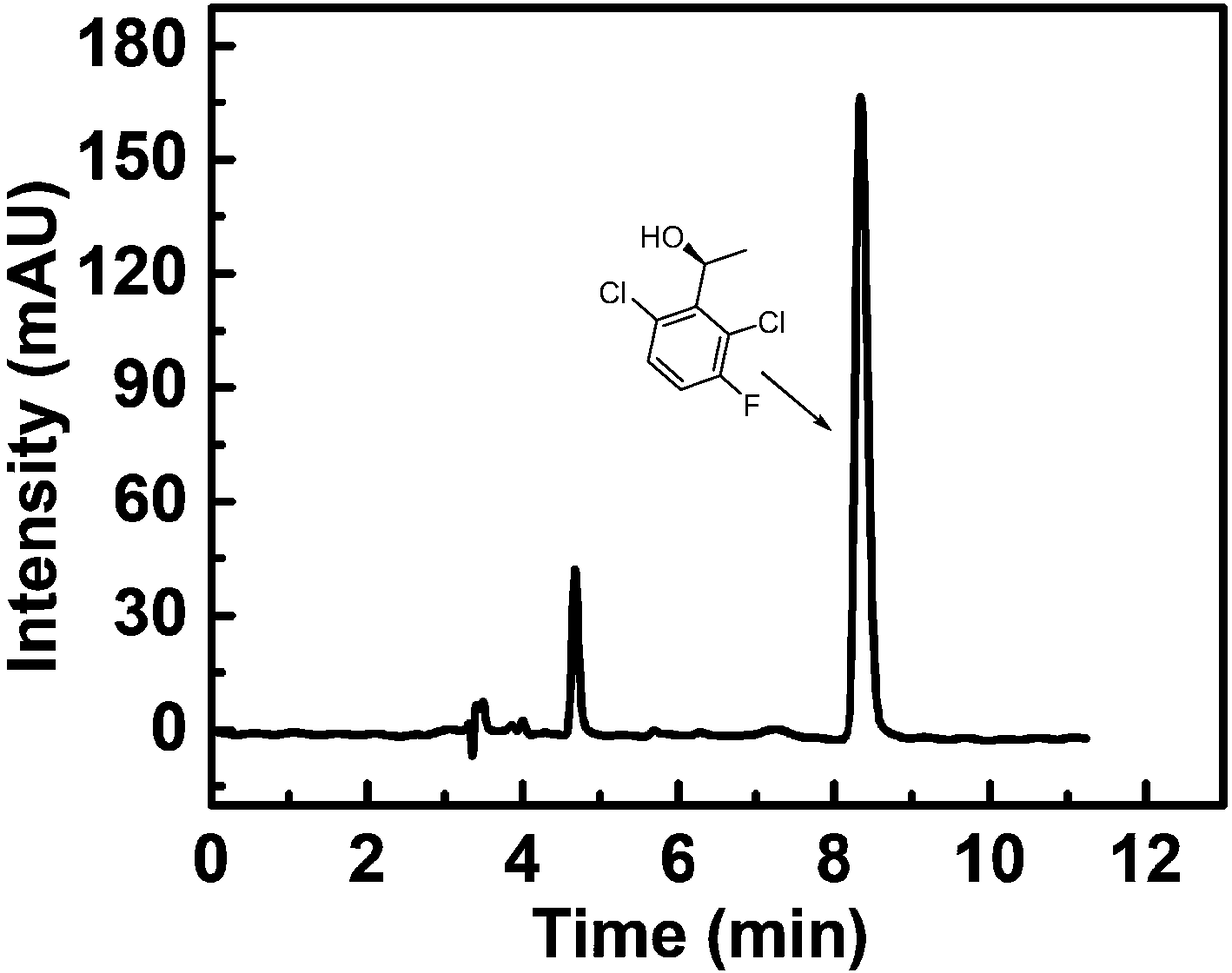 Method for synthesizing (S)-1-1(2,6-dichloro-3-fluorine-phenyl) ethanol through immobilized bienzyme catalysis