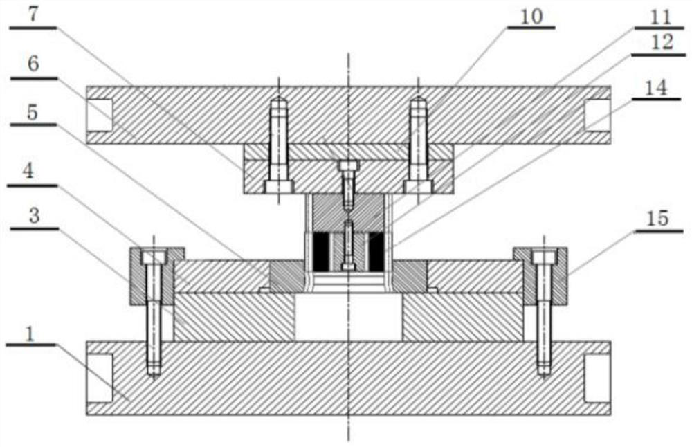 Large modulus spur gear precision forging cold finishing forming method and die