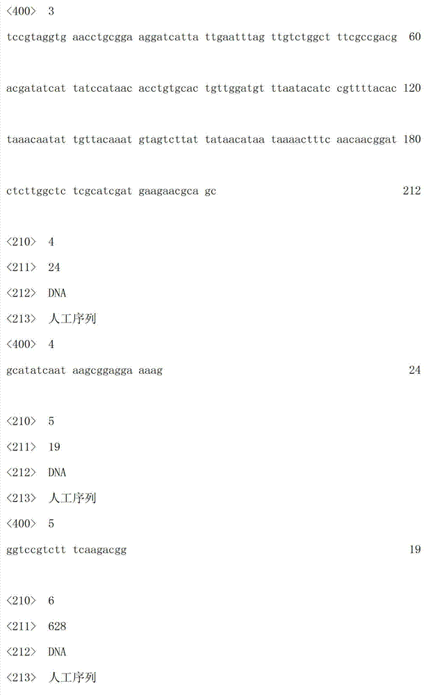 Cryptococcus uniguttulatus, and isolated culture method and application thereof