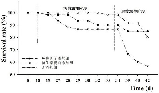 Preparation method and use method of immune factor for preventing pathopoiesis of aquaculture animal