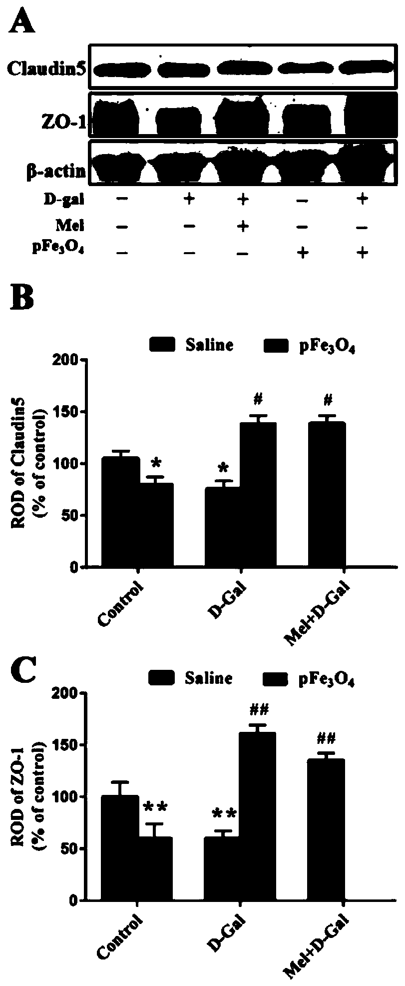 New application of ferroferric oxide nano-enzyme