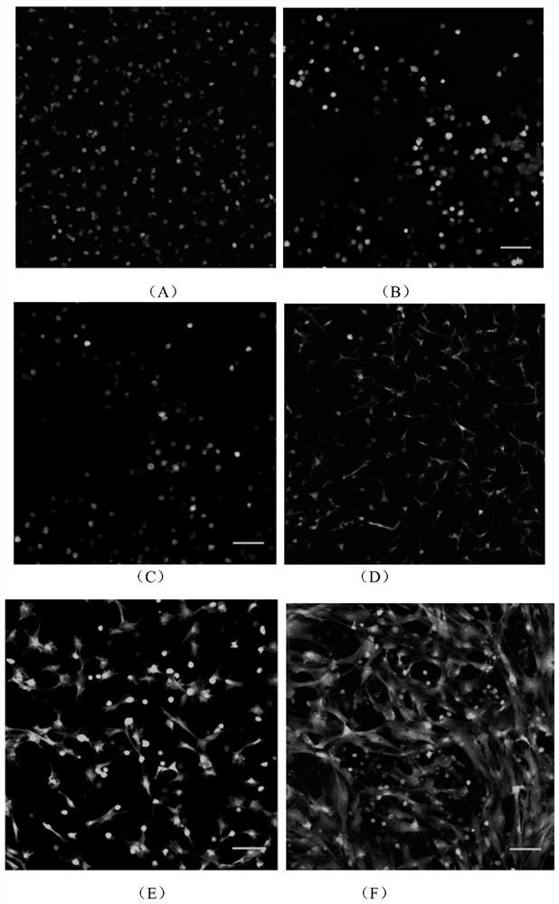 Printable composite hydrogel with high toughness, preparation method and application