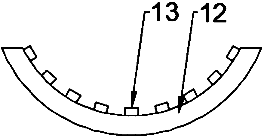 Rice winnowing device based on magnetic field separating and screening technology