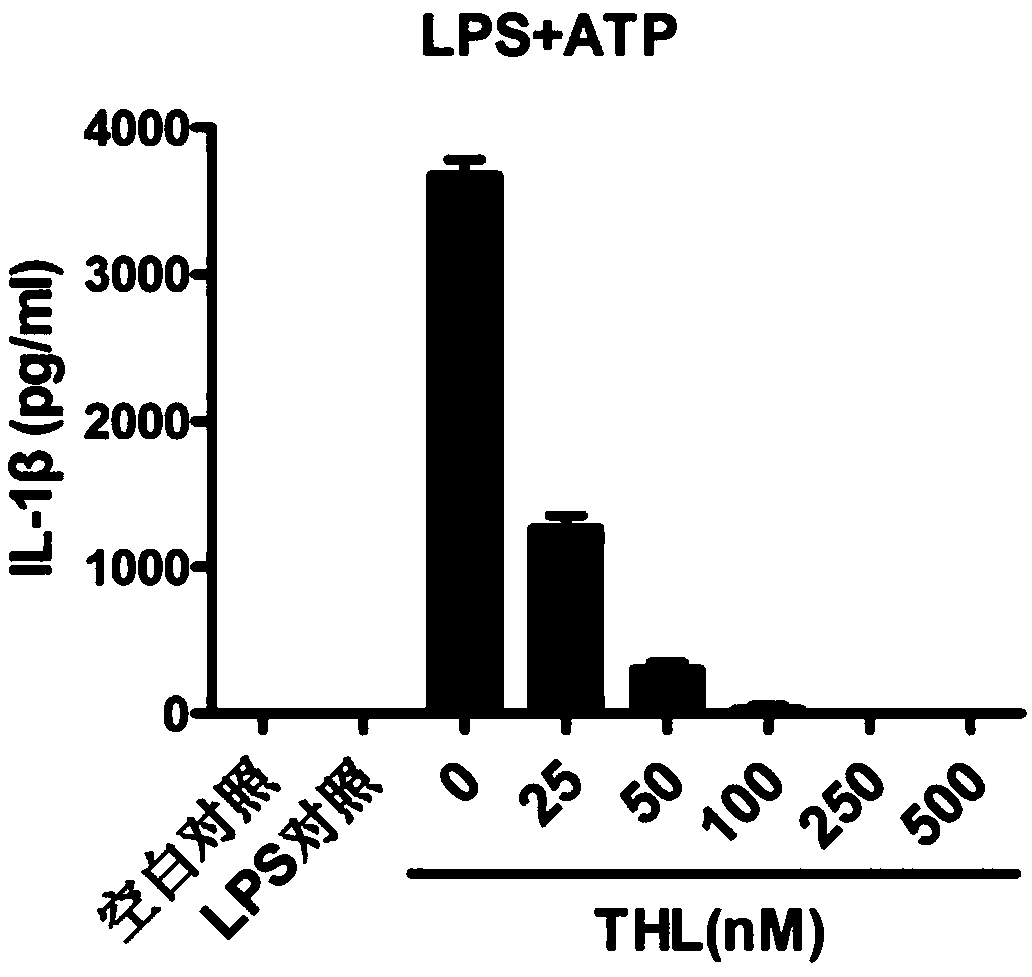 Application of thiolutin in inhibiting nlrp3 inflammasome activation