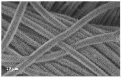 A method for preparing nanomaterials with different dimensions based on the same metal iron ion