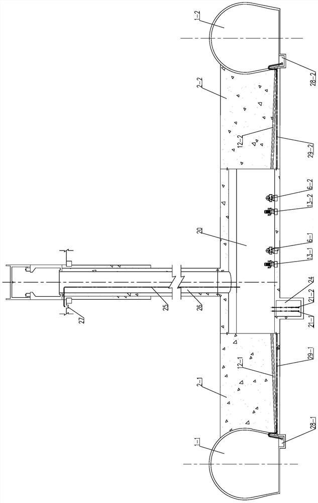 A Maintenance and Drainage System for V-shaped Tailrace Tunnels