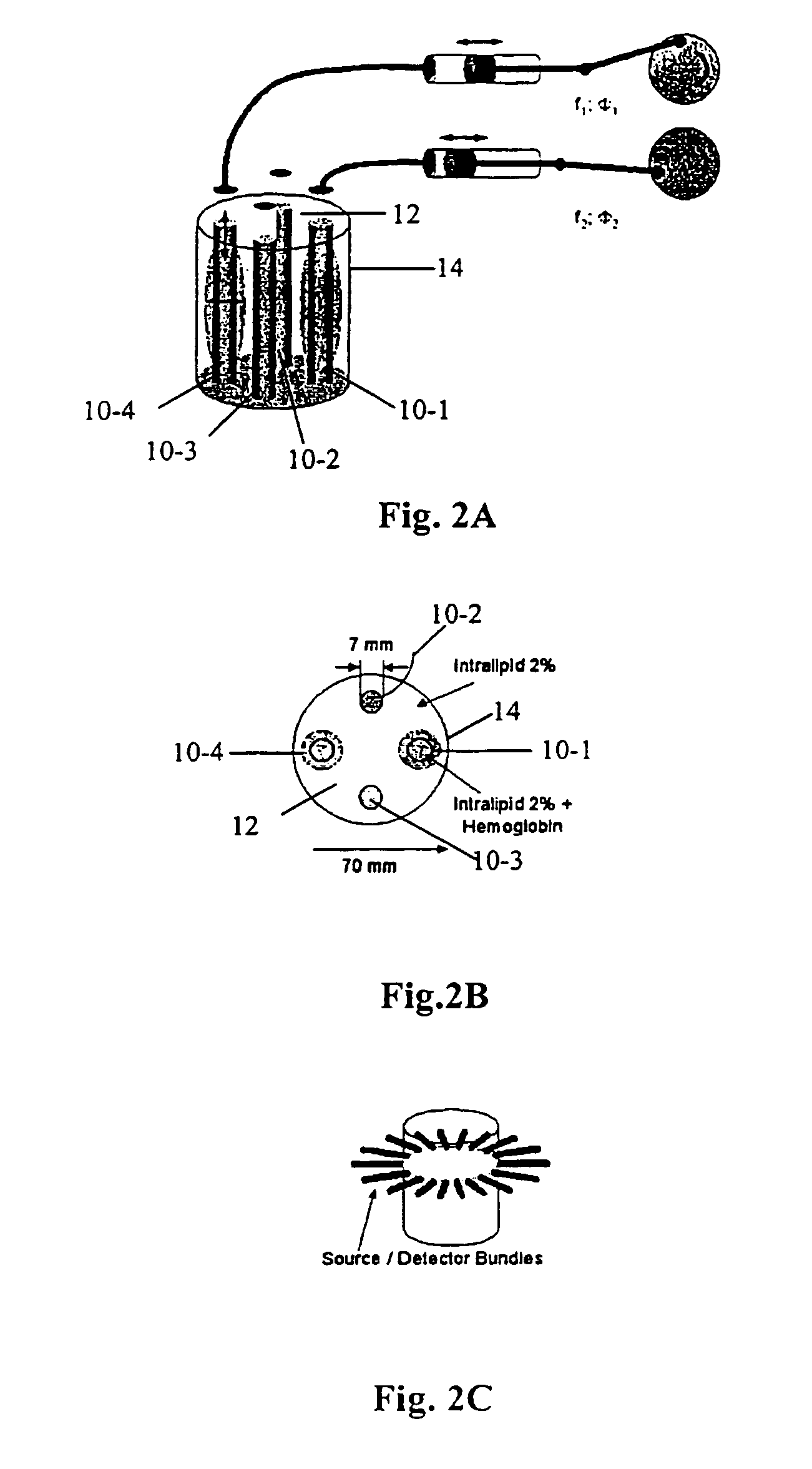 Method and system for imaging the dynamics of scattering medium