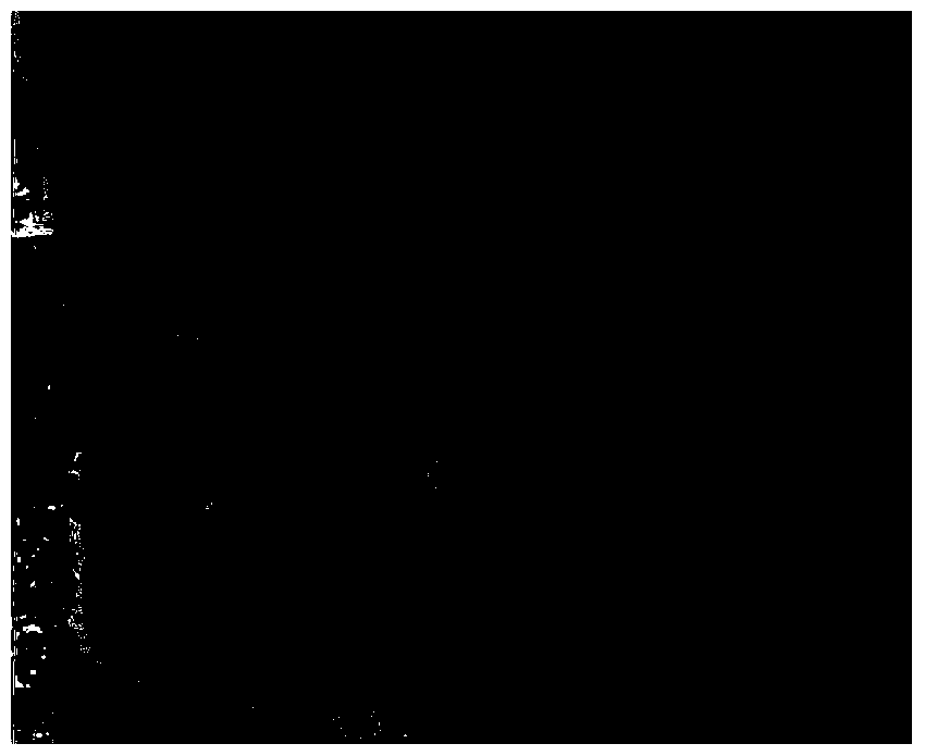 High-precision optical three-dimensional measurement method based on variable scale